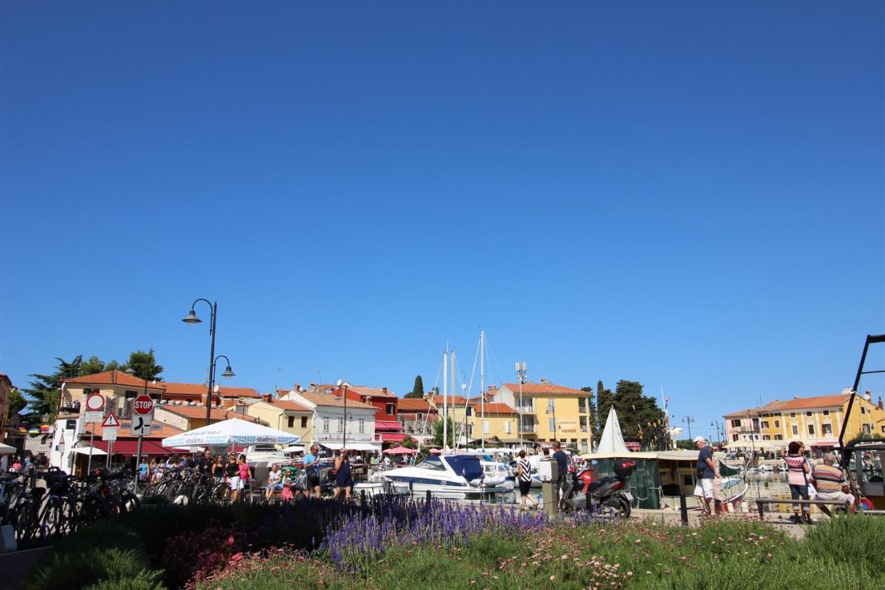 Gianna N2, 600 M From The Beach Novigrad Istria 외부 사진