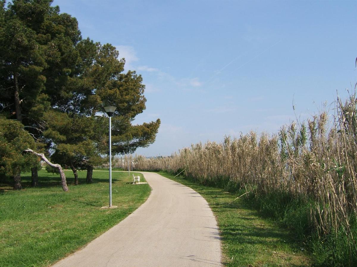 Gianna N2, 600 M From The Beach Novigrad Istria 외부 사진
